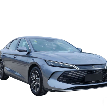 Qin L 2024 DM-i 120KM Beyond Edition