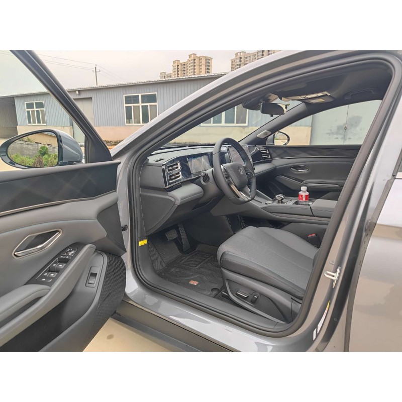 Qin L 2024 DM-i 120KM Beyond Edition