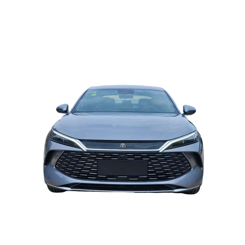 Qin L 2024 DM-i 120KM Beyond Edition