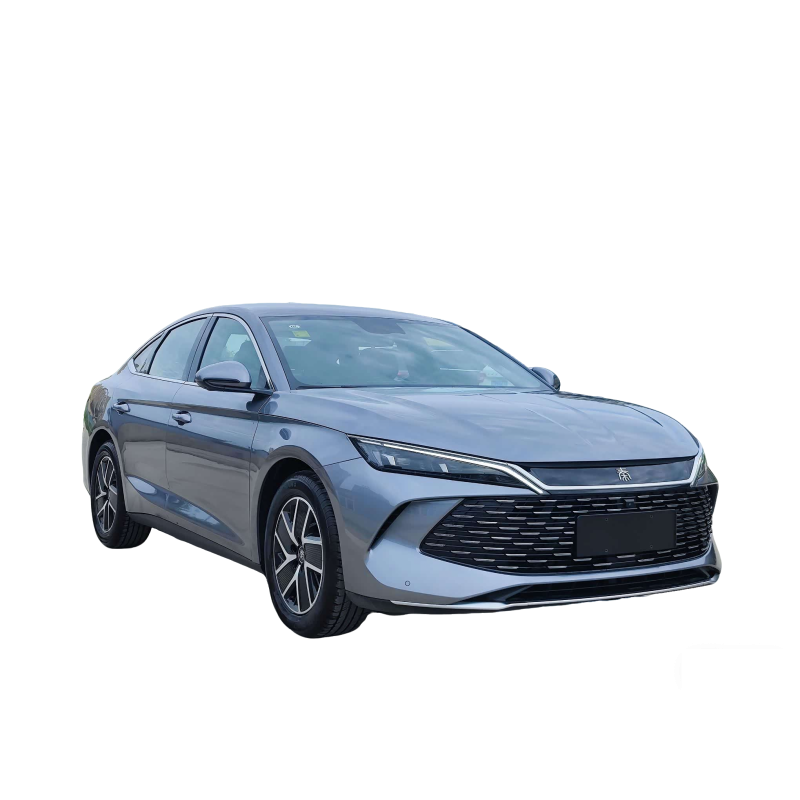 Qin L 2024 DM-i 120KM Beyond Edition