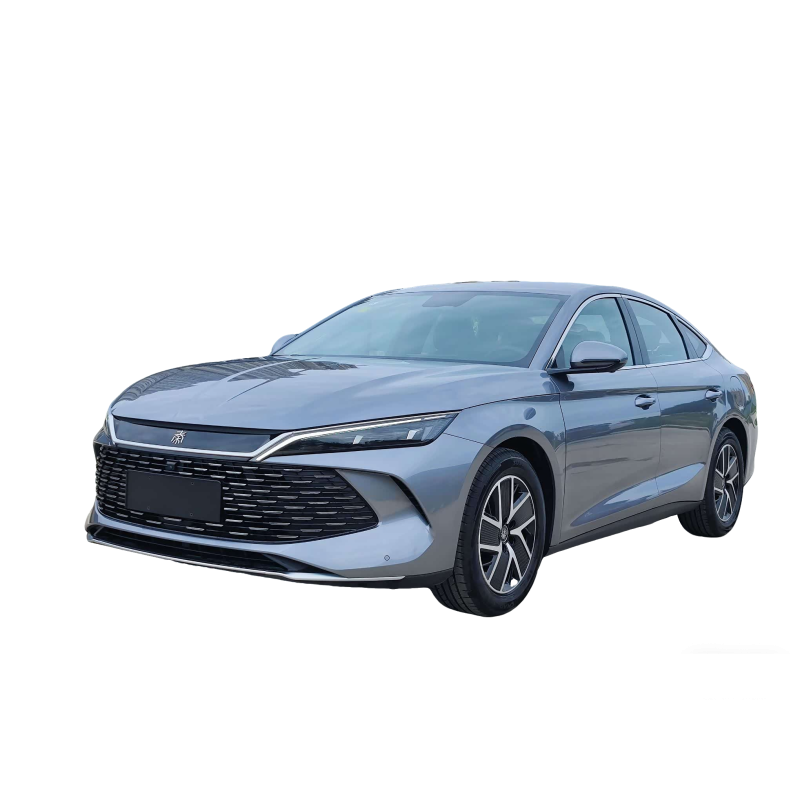 Qin L 2024 DM-i 120KM Beyond Edition