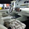 Loose 2023 1.5L Automatic Loose 2023 1.5L Automatic