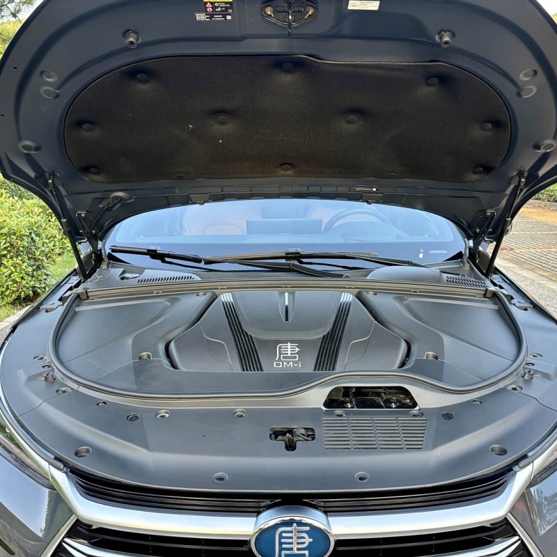 Tang New Energy 2023 DM-i Champion Edition 112KM Premium Edition Tang New Energy 2023 DM-i Champion Edition 112KM Premium Edition
