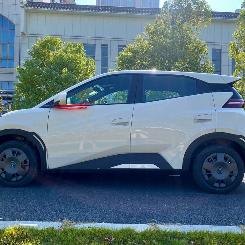 Seagull 2025 305km Vitality Edition Seagull 2025 305km Vitality Edition