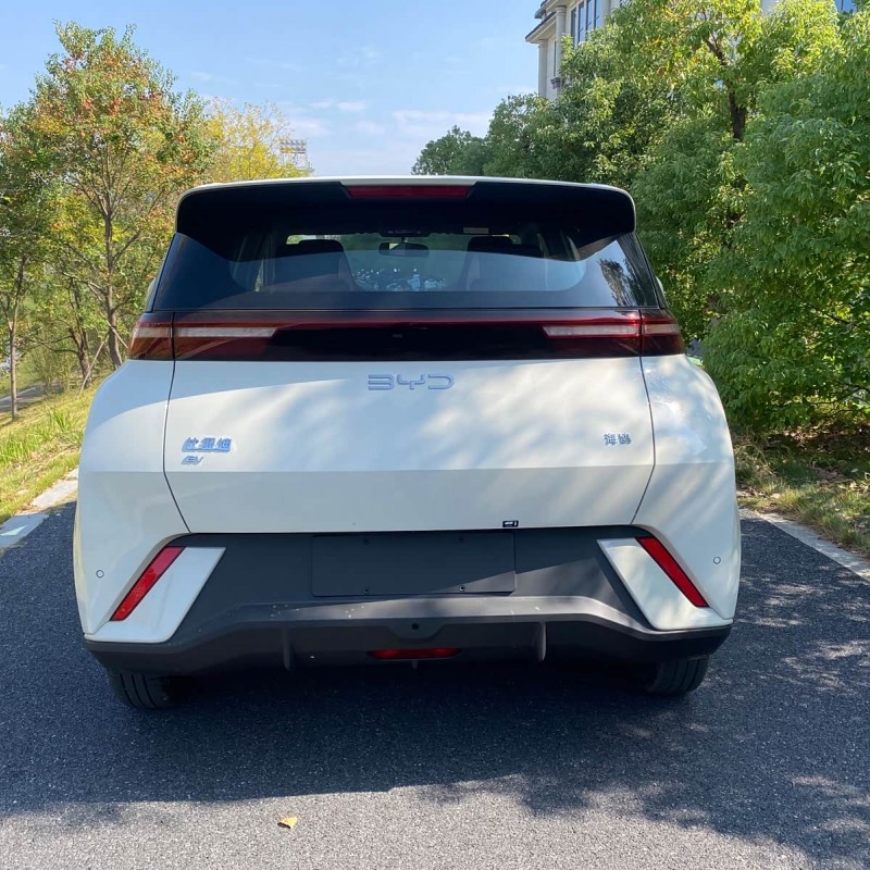 Seagull 2025 305km Vitality Edition Seagull 2025 305km Vitality Edition