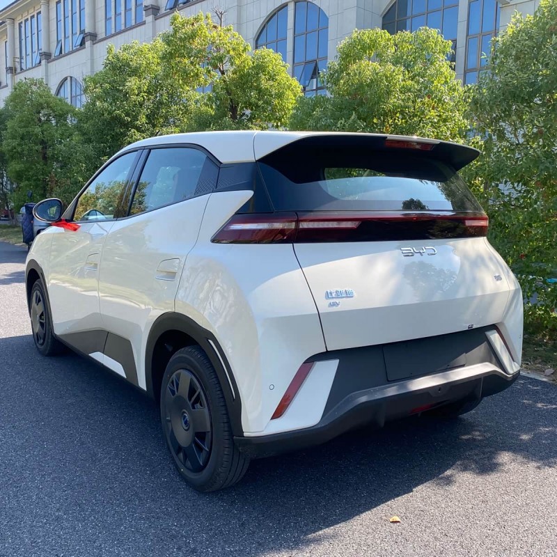 Seagull 2025 305km Vitality Edition Seagull 2025 305km Vitality Edition