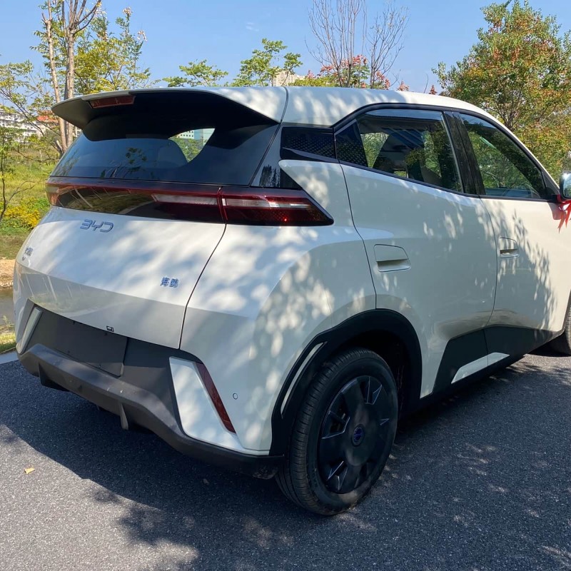 Seagull 2025 305km Vitality Edition Seagull 2025 305km Vitality Edition