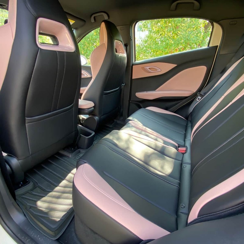Seagull 2025 305km Vitality Edition Seagull 2025 305km Vitality Edition
