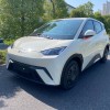 Seagull 2025 305km Vitality Edition
