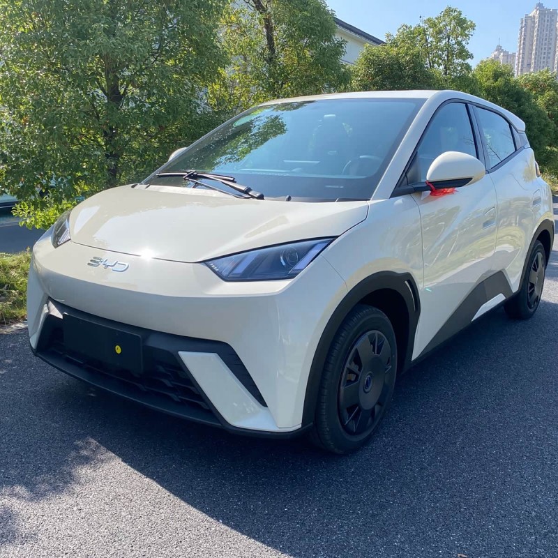 Seagull 2025 305km Vitality Edition