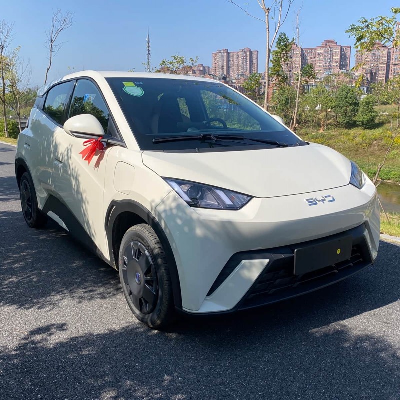Seagull 2025 305km Vitality Edition Seagull 2025 305km Vitality Edition