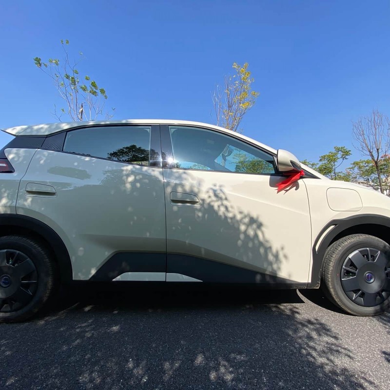 Seagull 2025 305km Vitality Edition Seagull 2025 305km Vitality Edition