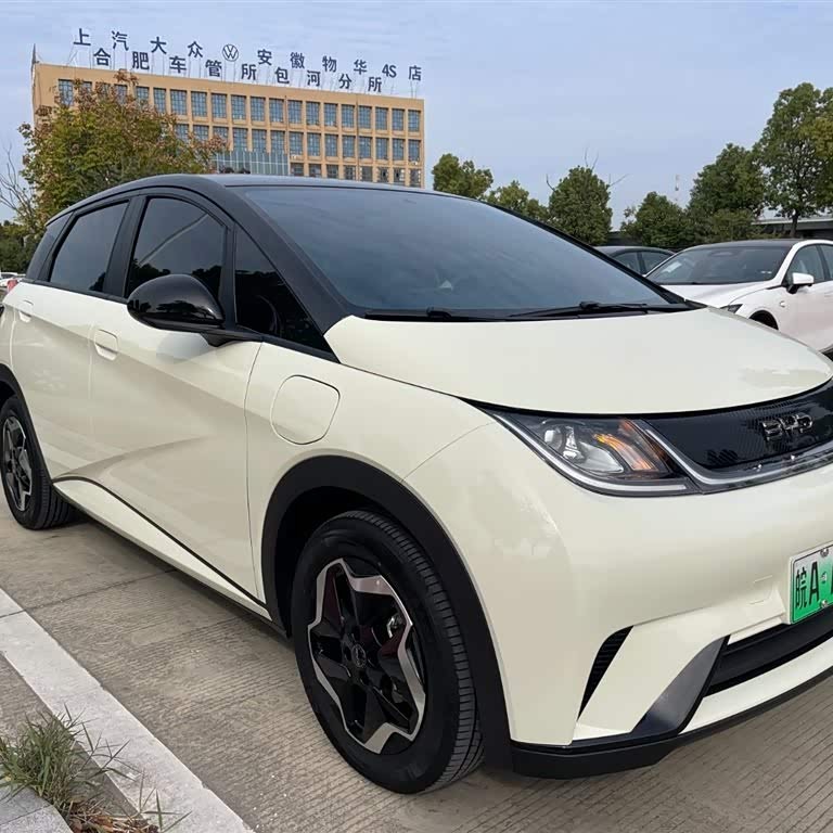 Dolphin 2025 420km Vitality Edition Dolphin 2025 420km Vitality Edition