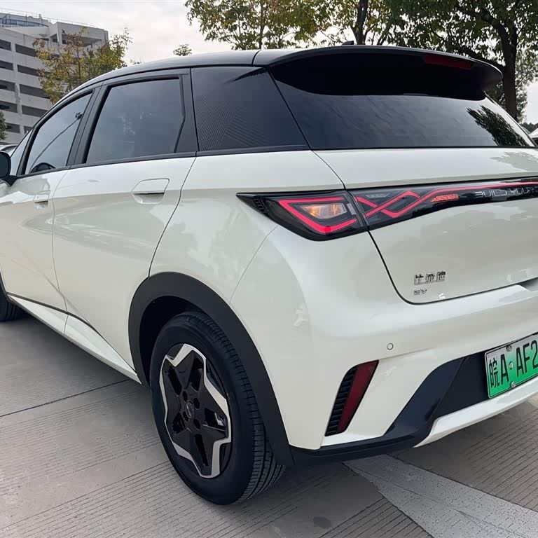 Dolphin 2025 420km Vitality Edition Dolphin 2025 420km Vitality Edition