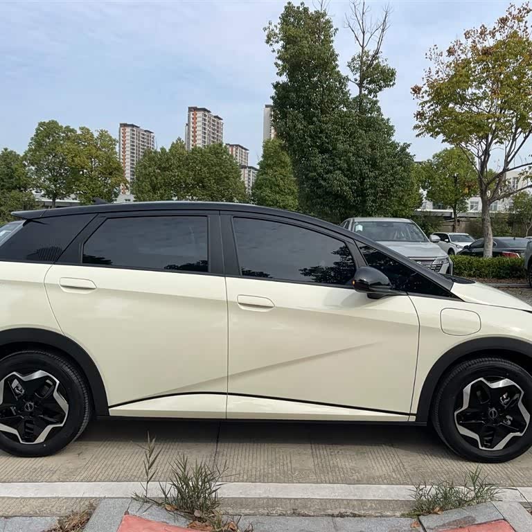 Dolphin 2025 420km Vitality Edition Dolphin 2025 420km Vitality Edition