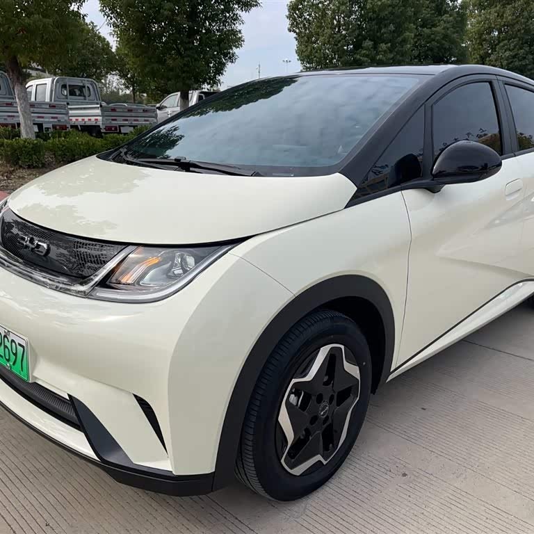 Dolphin 2025 420km Vitality Edition Dolphin 2025 420km Vitality Edition