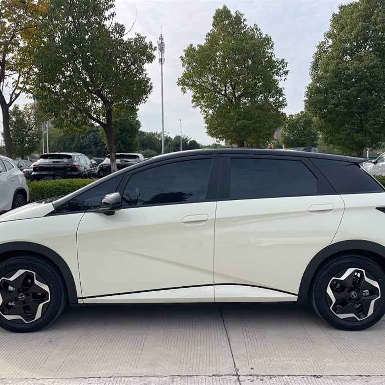 Dolphin 2025 420km Vitality Edition Dolphin 2025 420km Vitality Edition