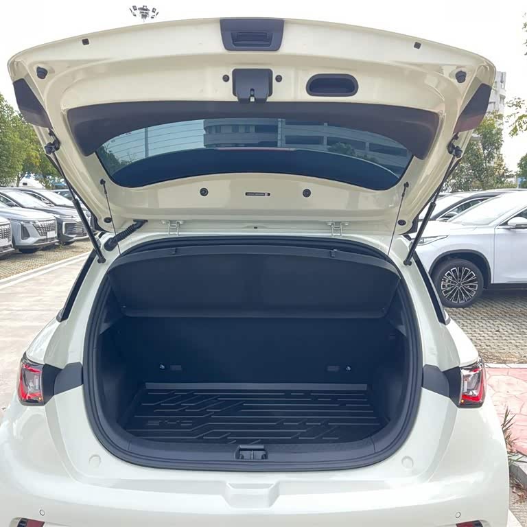 Dolphin 2025 420km Vitality Edition Dolphin 2025 420km Vitality Edition