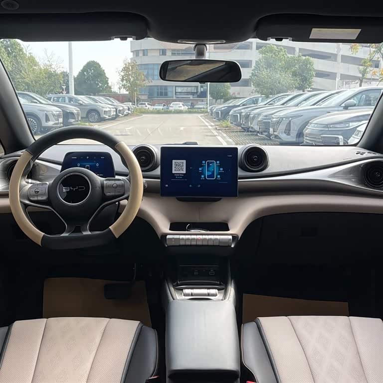Dolphin 2025 420km Vitality Edition Dolphin 2025 420km Vitality Edition