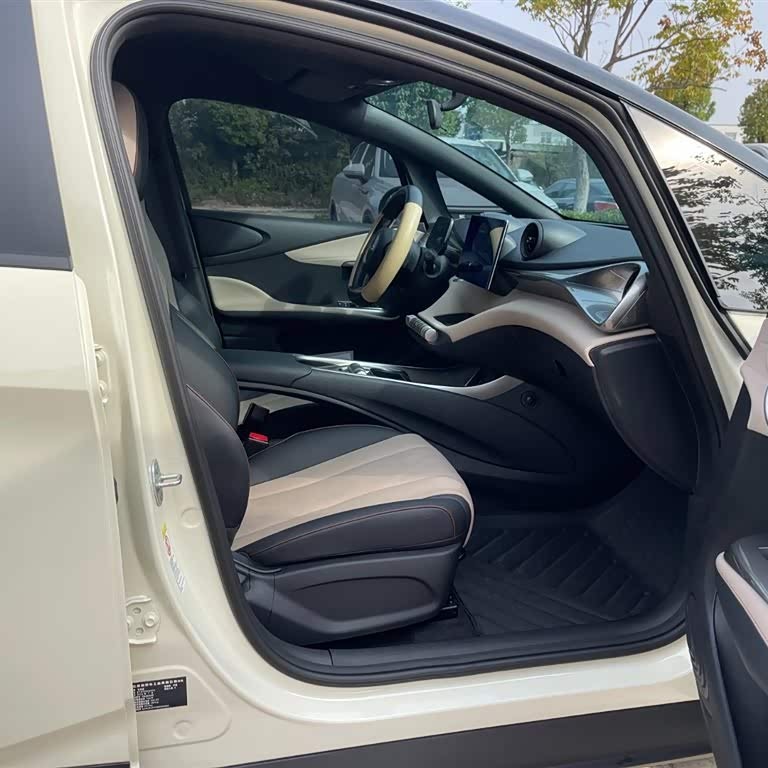 Dolphin 2025 420km Vitality Edition Dolphin 2025 420km Vitality Edition