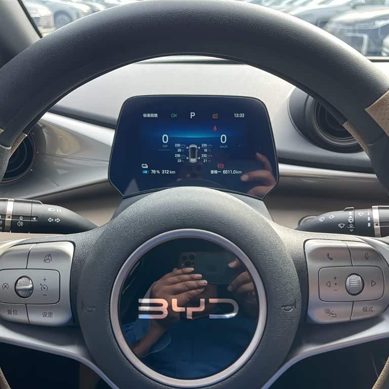 Dolphin 2025 420km Vitality Edition Dolphin 2025 420km Vitality Edition