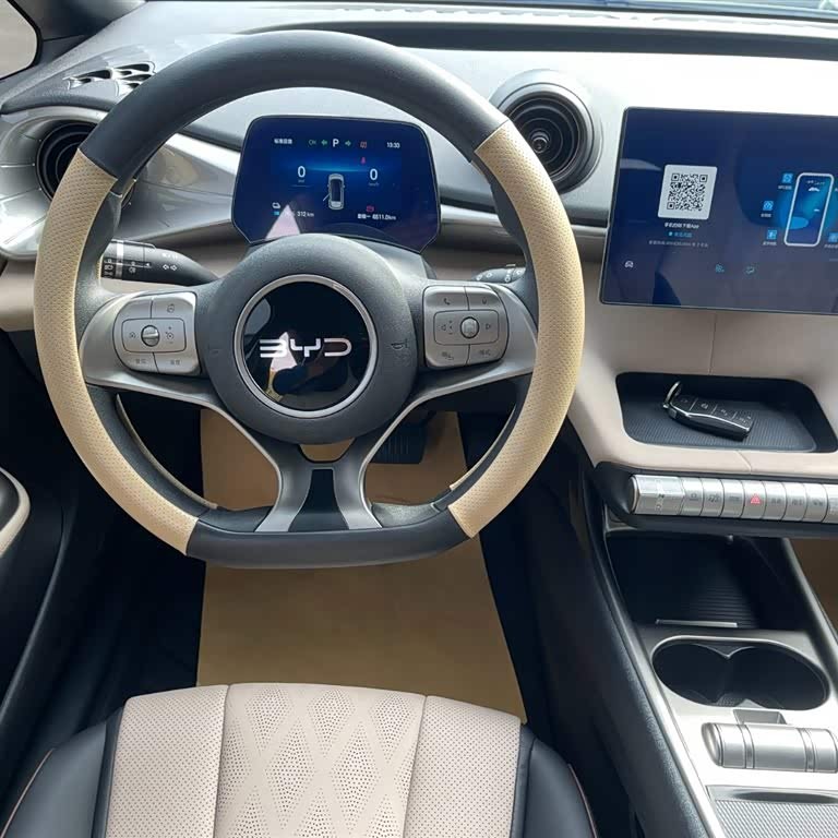 Dolphin 2025 420km Vitality Edition Dolphin 2025 420km Vitality Edition