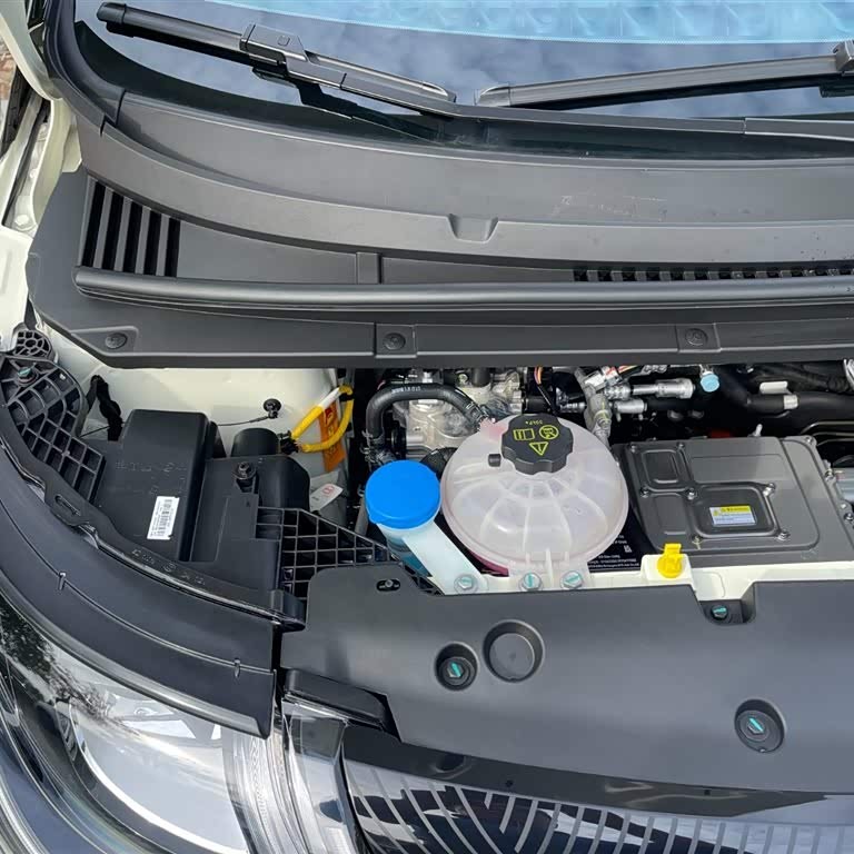 Dolphin 2025 420km Vitality Edition Dolphin 2025 420km Vitality Edition