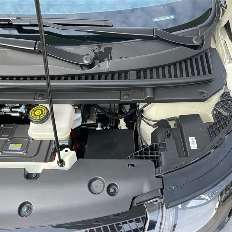 Dolphin 2025 420km Vitality Edition Dolphin 2025 420km Vitality Edition