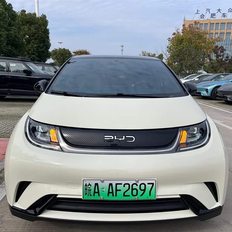 Dolphin 2025 420km Vitality Edition Dolphin 2025 420km Vitality Edition