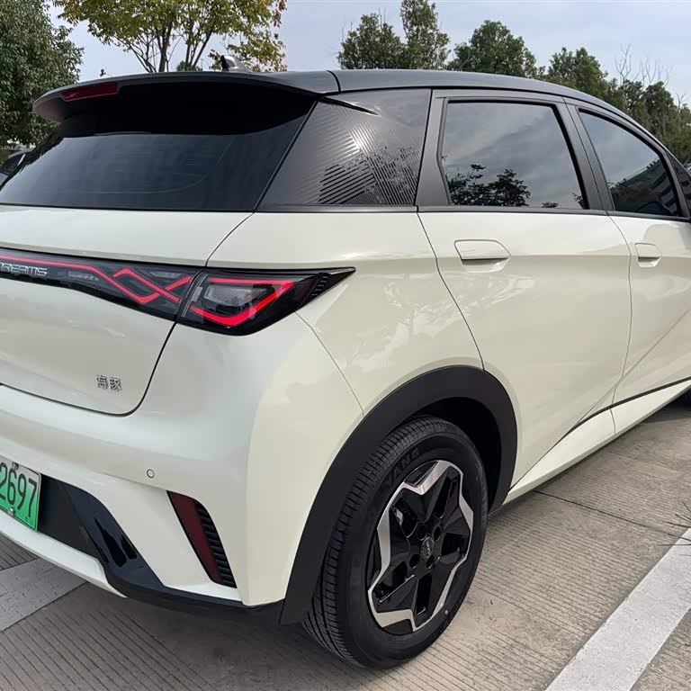 Dolphin 2025 420km Vitality Edition Dolphin 2025 420km Vitality Edition