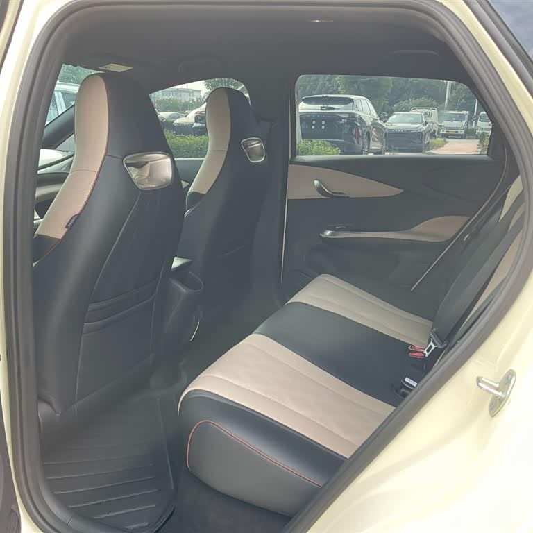 Dolphin 2025 420km Vitality Edition Dolphin 2025 420km Vitality Edition