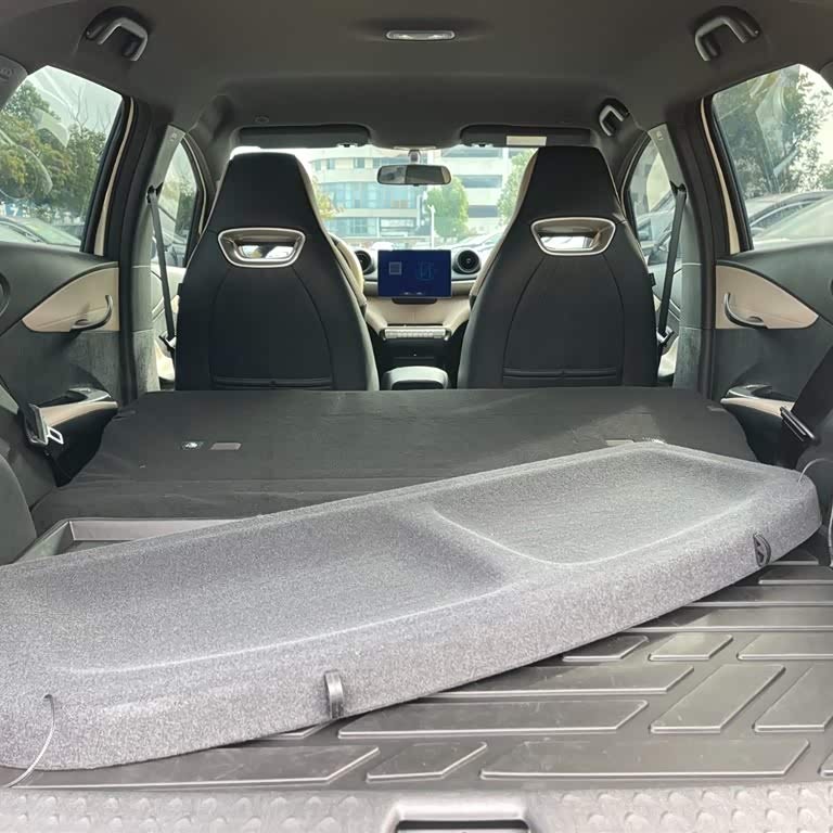 Dolphin 2025 420km Vitality Edition Dolphin 2025 420km Vitality Edition