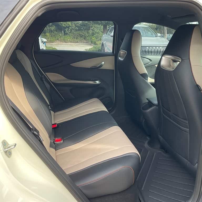 Dolphin 2025 420km Vitality Edition Dolphin 2025 420km Vitality Edition