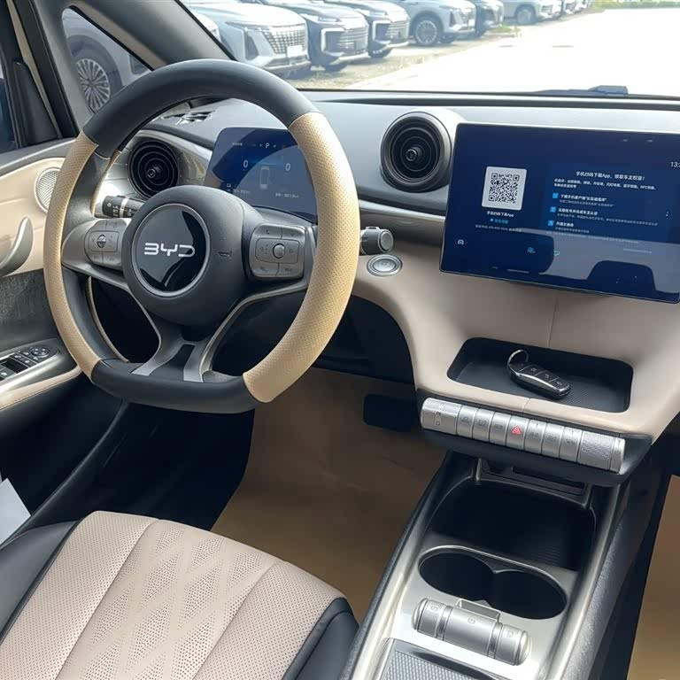 Dolphin 2025 420km Vitality Edition Dolphin 2025 420km Vitality Edition