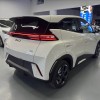 Seagull 2025 305km Freedom Edition
