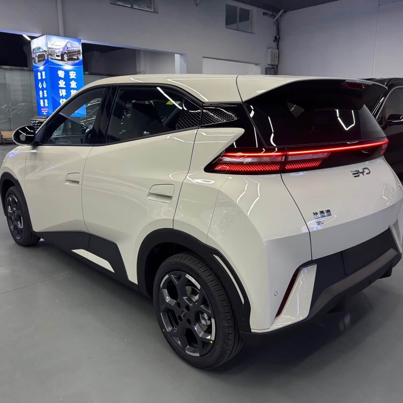 Seagull 2025 305km Freedom Edition Seagull 2025 305km Freedom Edition