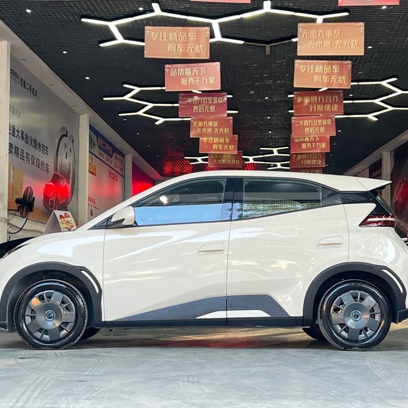 Seagull 2024 Glory Edition 305km Vitality Edition Seagull 2024 Glory Edition 305km Vitality Edition