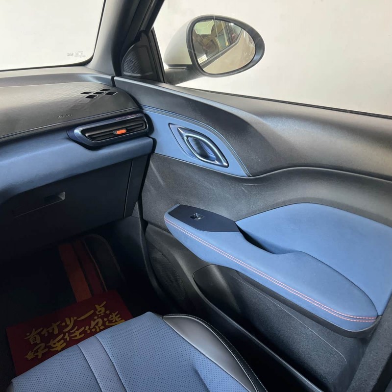 Seagull 2024 Glory Edition 305km Vitality Edition Seagull 2024 Glory Edition 305km Vitality Edition