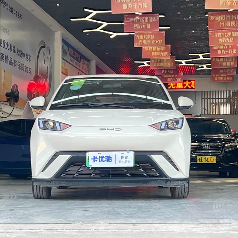 Seagull 2024 Glory Edition 305km Vitality Edition Seagull 2024 Glory Edition 305km Vitality Edition