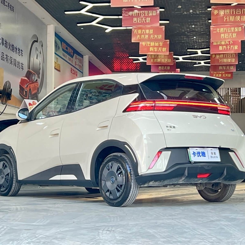 Seagull 2024 Glory Edition 305km Vitality Edition Seagull 2024 Glory Edition 305km Vitality Edition