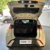 Seagull 2024 Glory Edition 305km Vitality Edition
