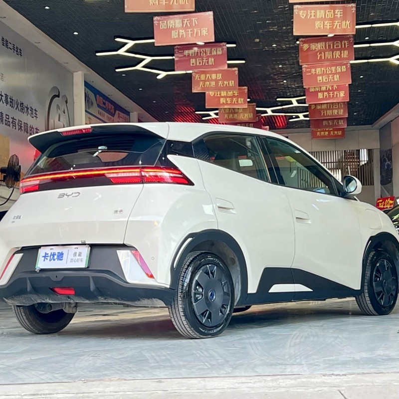 Seagull 2024 Glory Edition 305km Vitality Edition Seagull 2024 Glory Edition 305km Vitality Edition