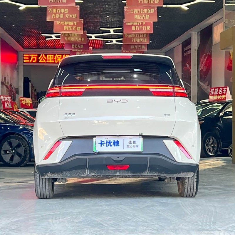 Seagull 2024 Glory Edition 305km Vitality Edition Seagull 2024 Glory Edition 305km Vitality Edition