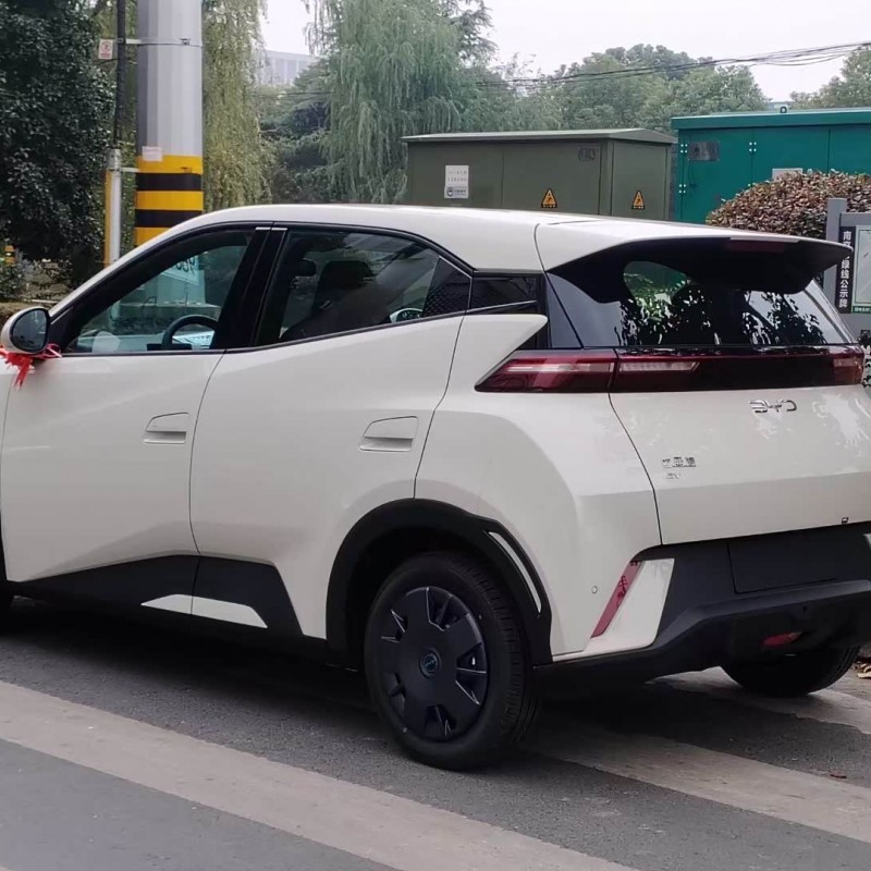 Seagull 2025 305km Vitality Edition Seagull 2025 305km Vitality Edition