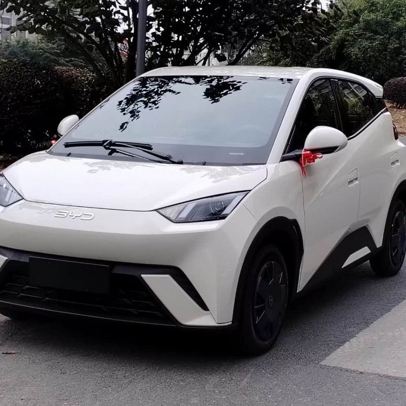 Seagull 2025 305km Vitality Edition