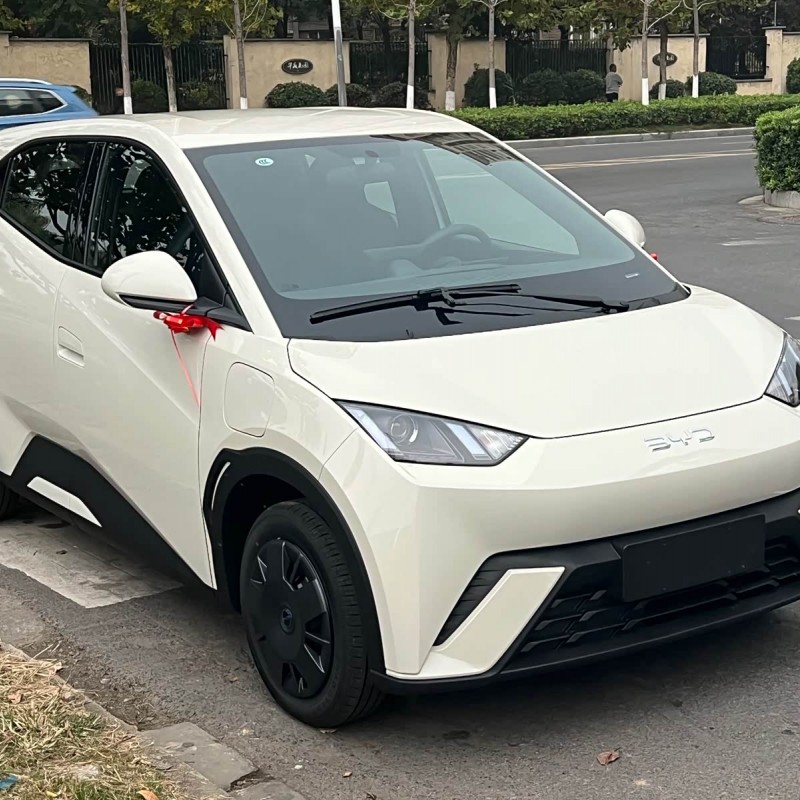Seagull 2025 305km Vitality Edition Seagull 2025 305km Vitality Edition