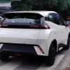 Seagull 2025 305km Vitality Edition
