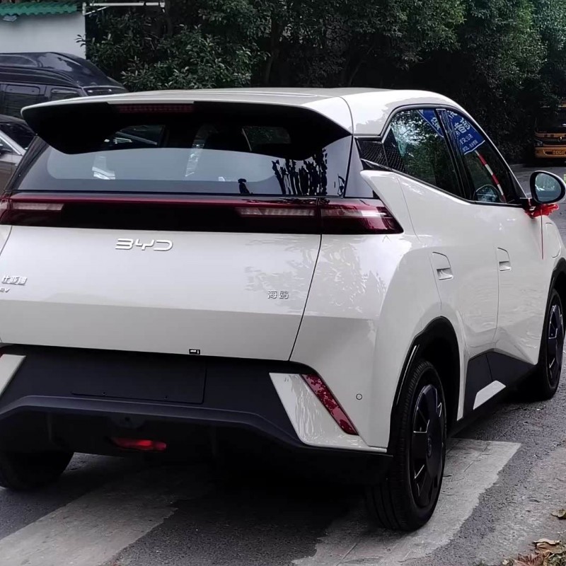 Seagull 2025 305km Vitality Edition Seagull 2025 305km Vitality Edition