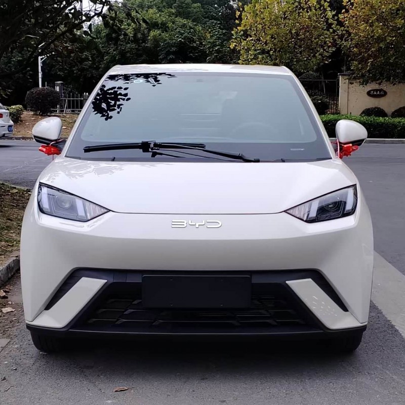 Seagull 2025 305km Vitality Edition Seagull 2025 305km Vitality Edition