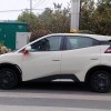 Seagull 2025 305km Vitality Edition
